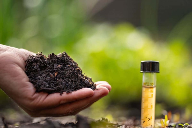 Revive Your Lawn: 14 Late Summer Rescue Tricks for a Healthy Fall Yard