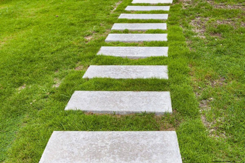 Revive Your Lawn: 14 Late Summer Rescue Tricks for a Healthy Fall Yard