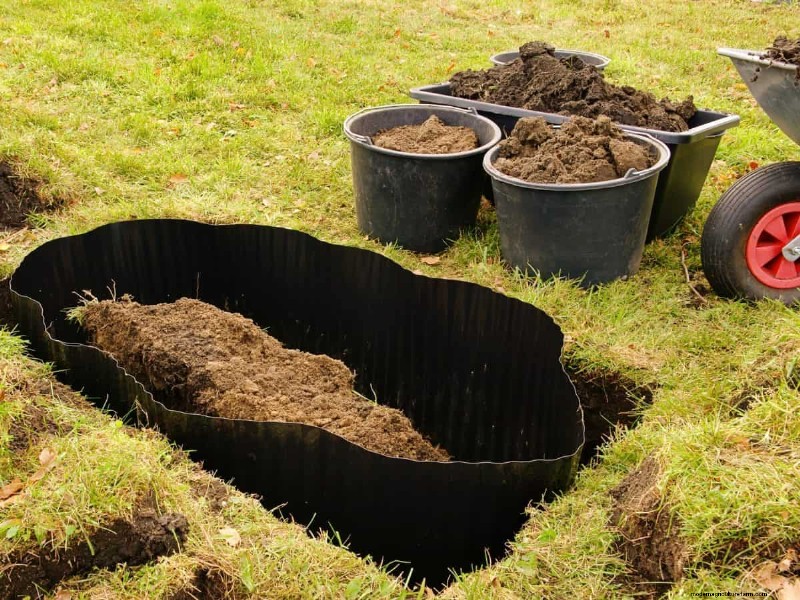 Removing Invasive Plants Crossing Property Lines: Your Legal Rights