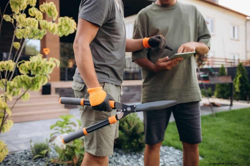 Removing Invasive Plants Crossing Property Lines: Your Legal Rights