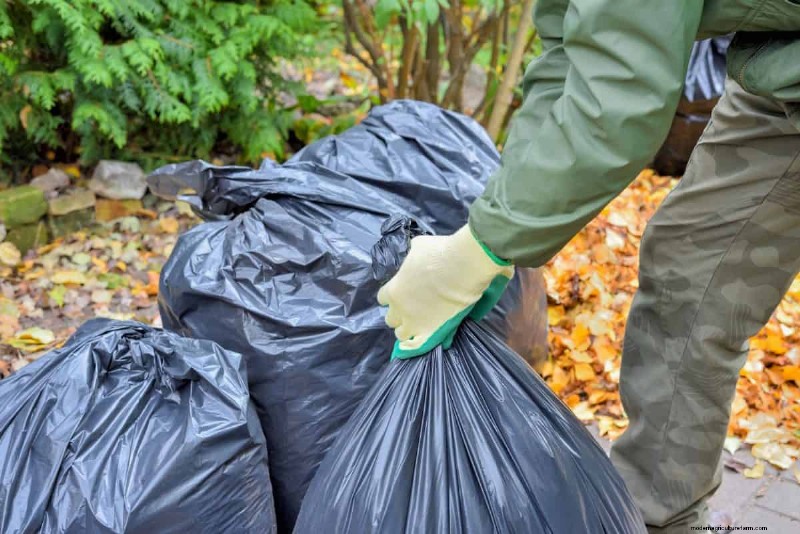 Removing Invasive Plants Crossing Property Lines: Your Legal Rights