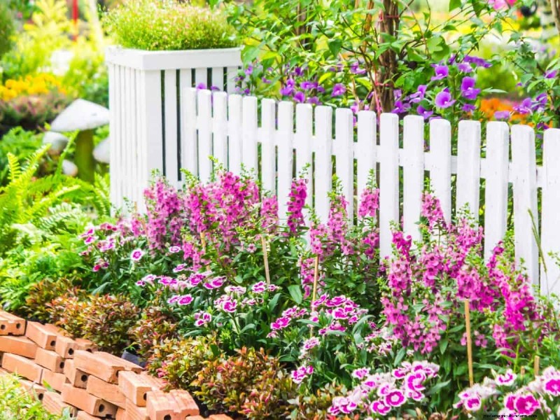 Removing Invasive Plants Crossing Property Lines: Your Legal Rights