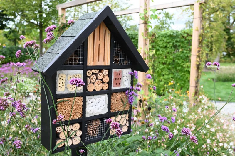 Regenerative Gardening: 13 Creative Waste Recycling Ideas for a Thriving Garden