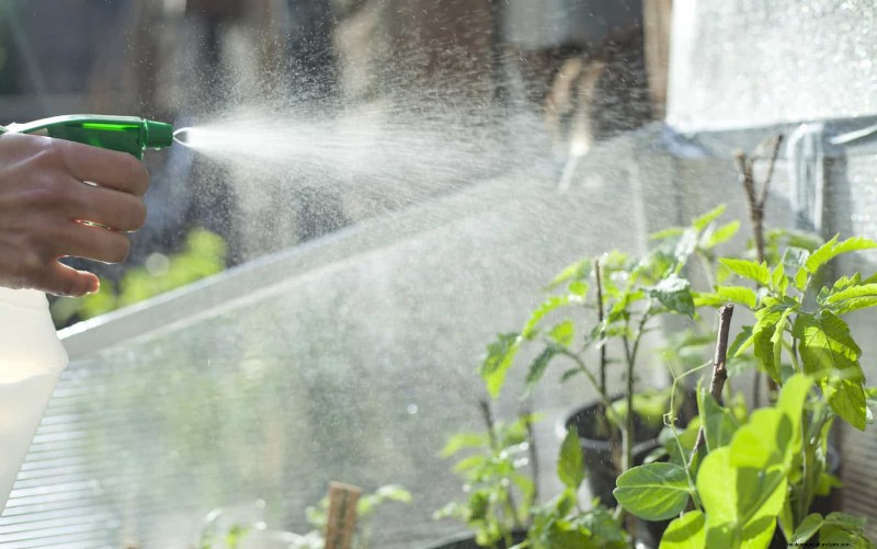 Regenerative Gardening: 13 Creative Waste Recycling Ideas for a Thriving Garden