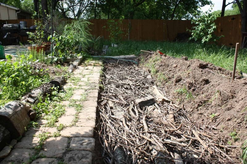 Regenerative Gardening: 13 Creative Waste Recycling Ideas for a Thriving Garden