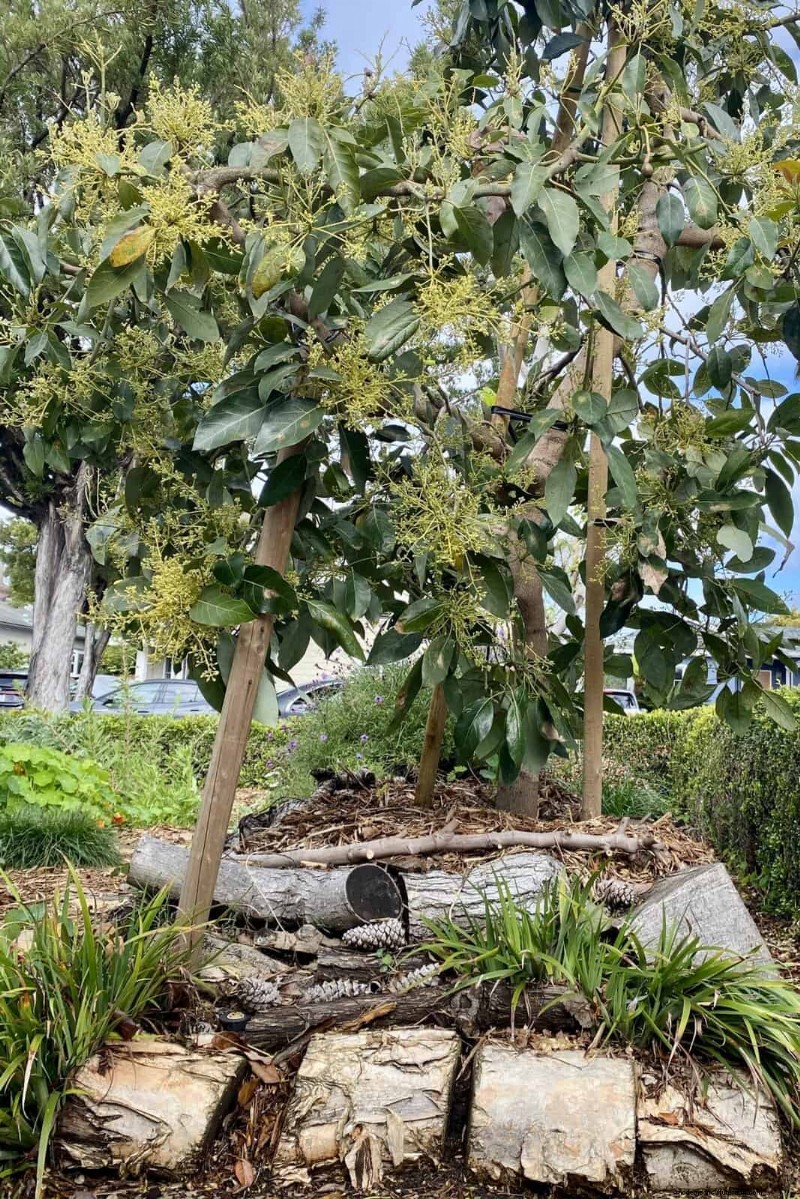 Regenerative Gardening: 13 Creative Waste Recycling Ideas for a Thriving Garden