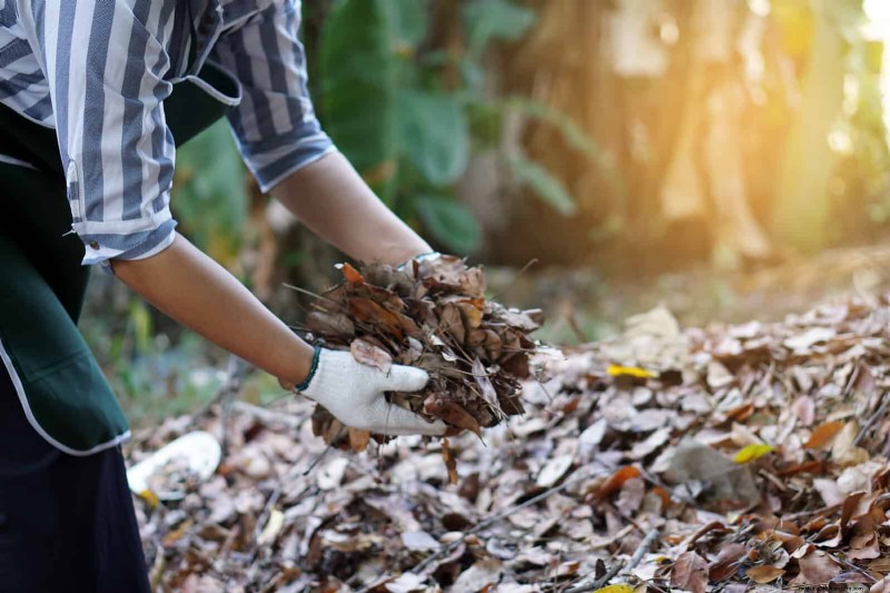 Regenerative Gardening: 13 Creative Waste Recycling Ideas for a Thriving Garden