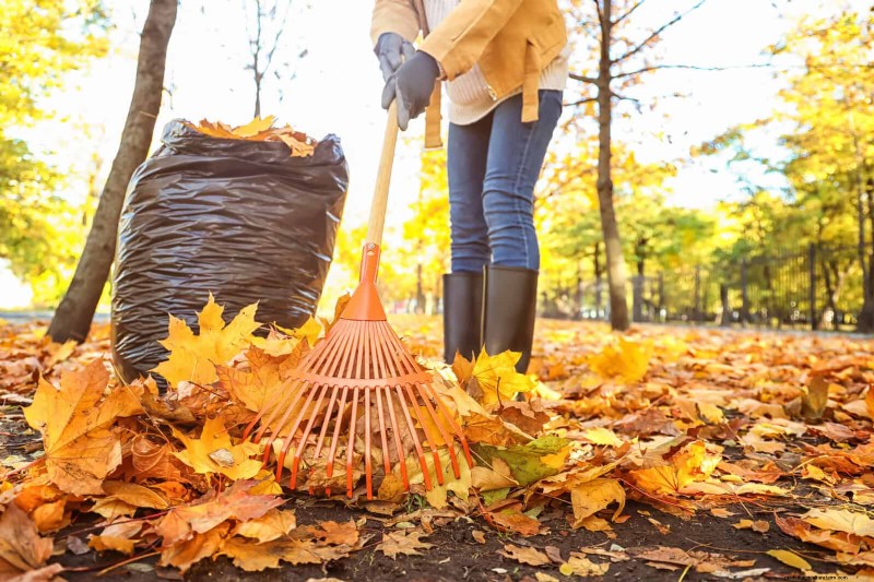 Regenerative Gardening: 13 Creative Waste Recycling Ideas for a Thriving Garden