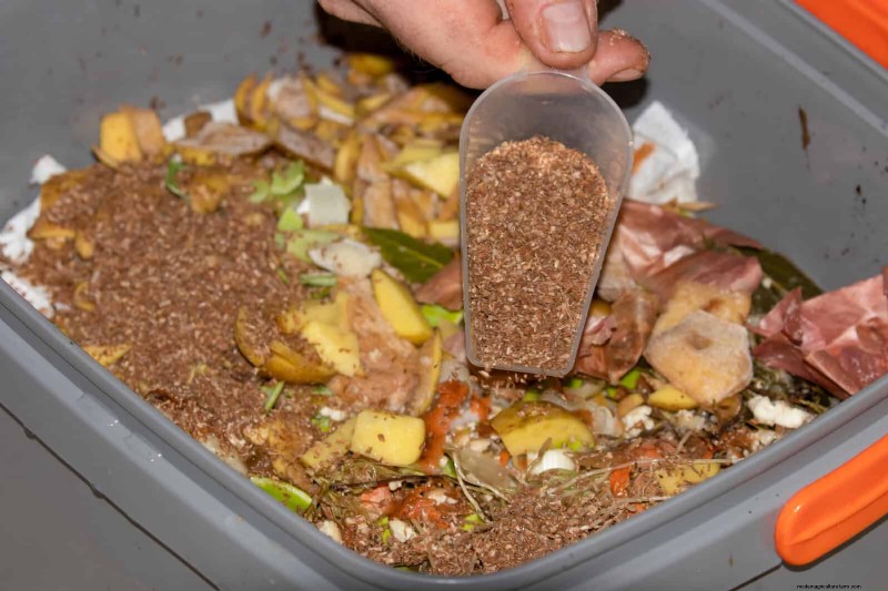 Regenerative Gardening: 13 Creative Waste Recycling Ideas for a Thriving Garden