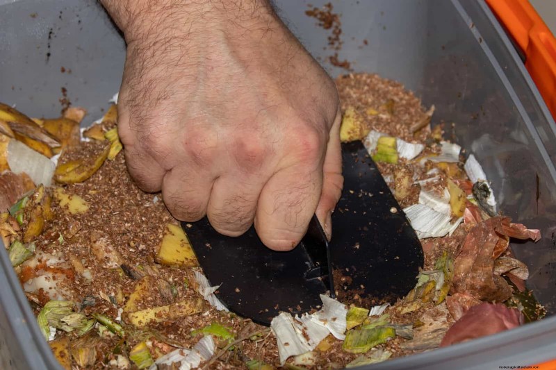 Regenerative Gardening: 13 Creative Waste Recycling Ideas for a Thriving Garden
