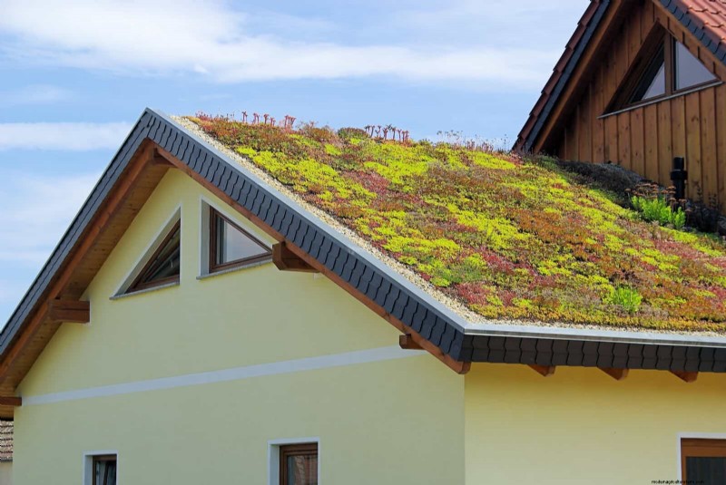 Regenerative Gardening: 13 Creative Waste Recycling Ideas for a Thriving Garden