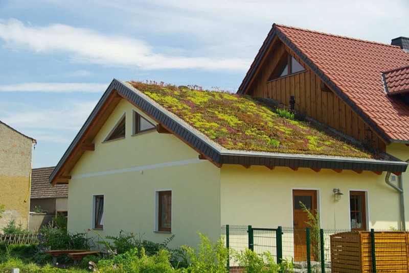 Regenerative Gardening: 13 Creative Waste Recycling Ideas for a Thriving Garden