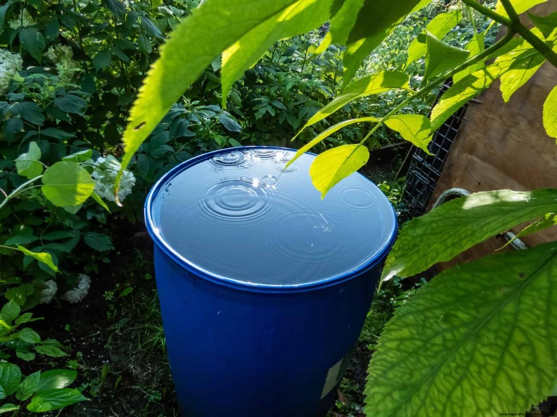 Regenerative Gardening: 13 Creative Waste Recycling Ideas for a Thriving Garden
