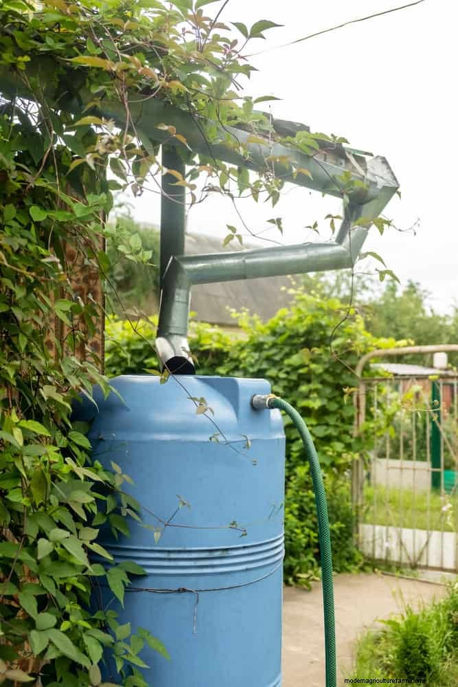 Regenerative Gardening: 13 Creative Waste Recycling Ideas for a Thriving Garden