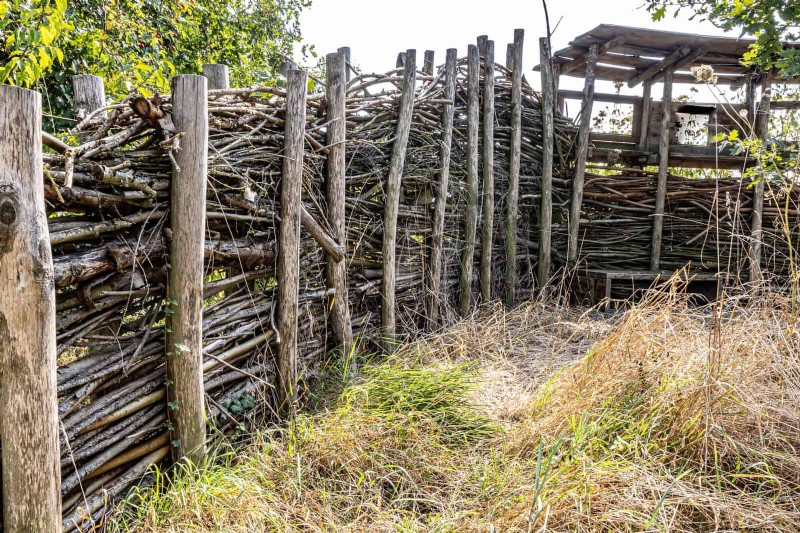 Regenerative Gardening: 13 Creative Waste Recycling Ideas for a Thriving Garden
