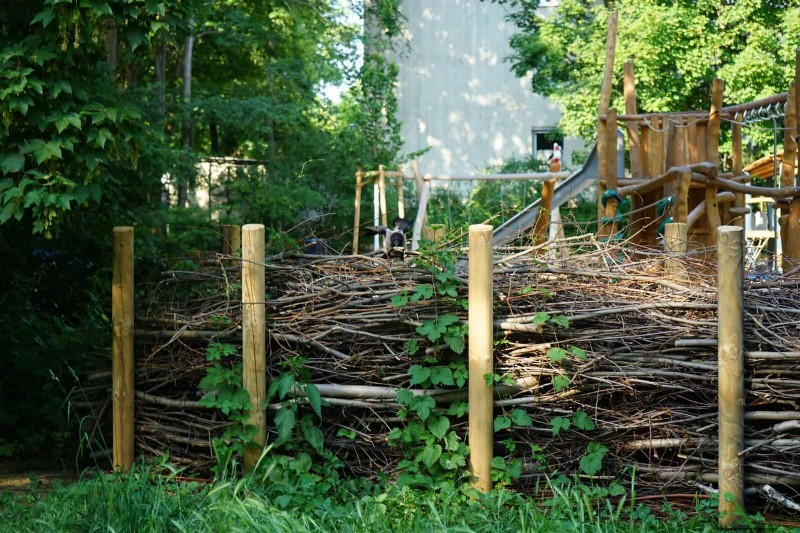 Regenerative Gardening: 13 Creative Waste Recycling Ideas for a Thriving Garden