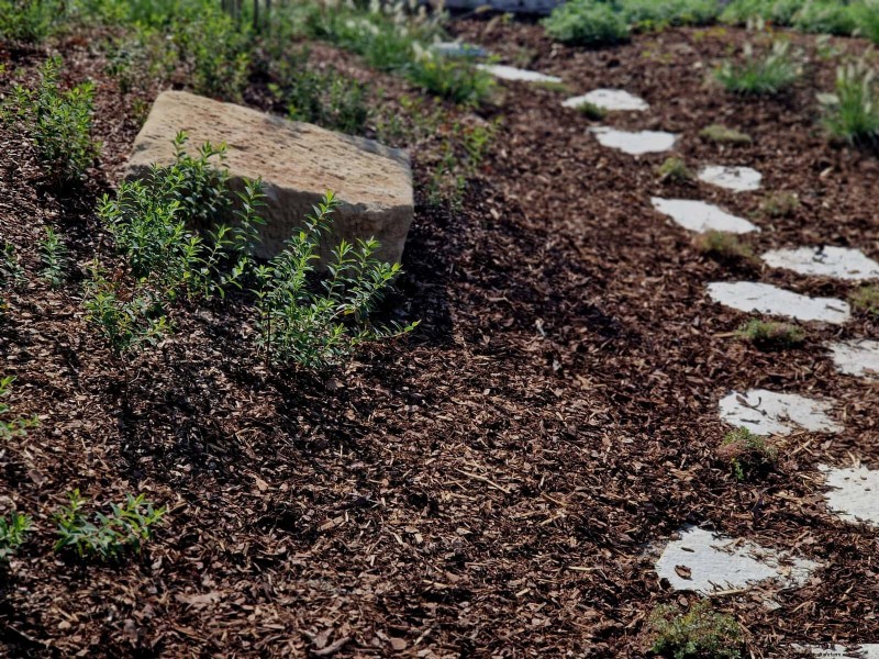 Regenerative Gardening: 13 Creative Waste Recycling Ideas for a Thriving Garden