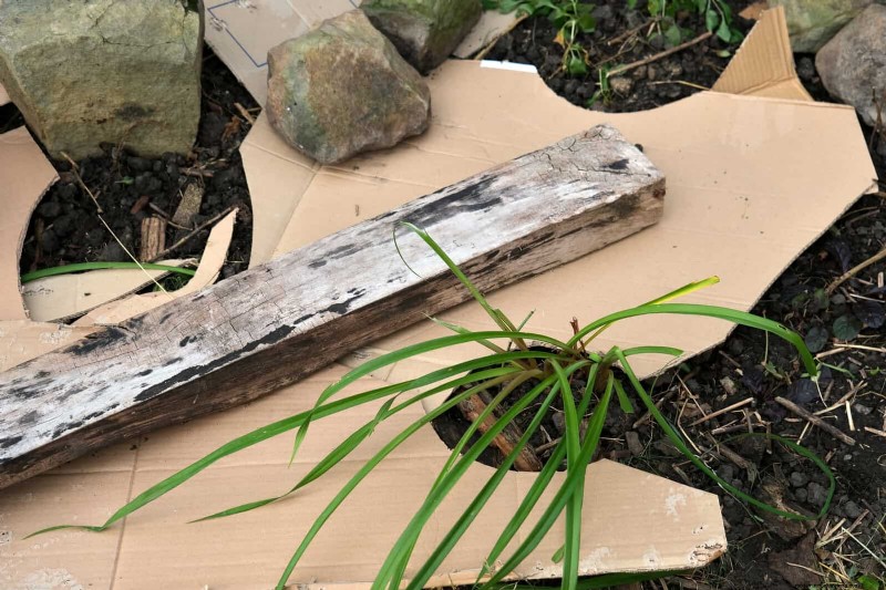 Regenerative Gardening: 13 Creative Waste Recycling Ideas for a Thriving Garden