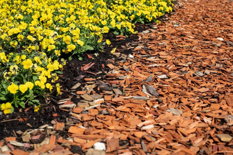 Regenerative Gardening: 13 Creative Waste Recycling Ideas for a Thriving Garden