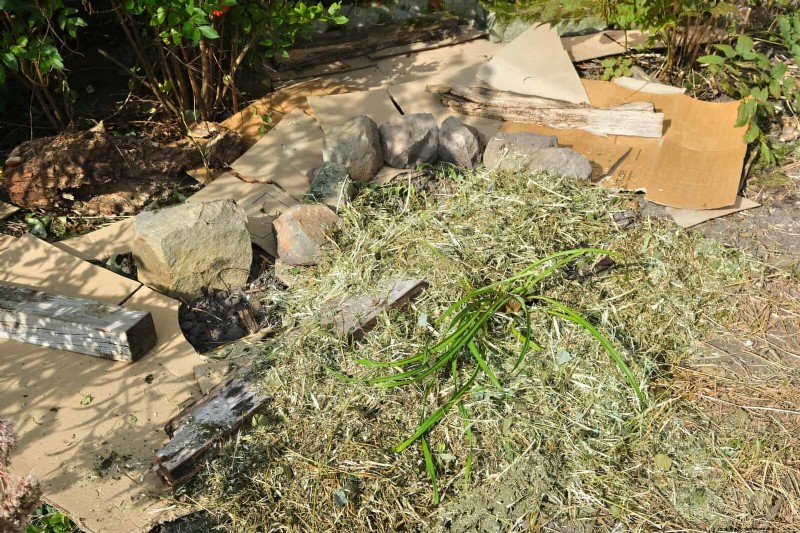 Regenerative Gardening: 13 Creative Waste Recycling Ideas for a Thriving Garden
