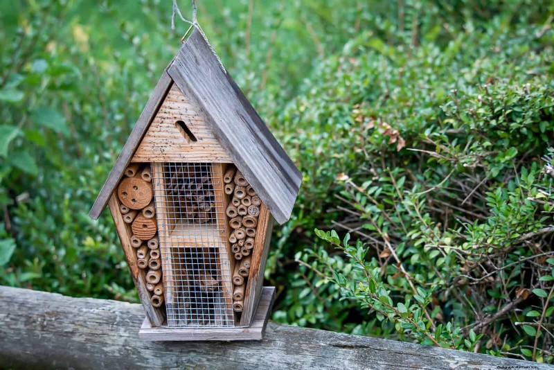 Regenerative Gardening: 13 Creative Waste Recycling Ideas for a Thriving Garden