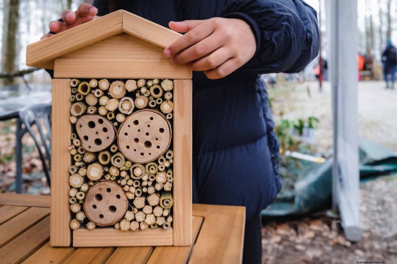 Regenerative Gardening: 13 Creative Waste Recycling Ideas for a Thriving Garden