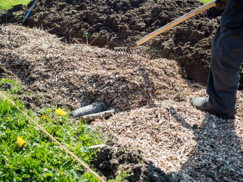 No-Dig Gardening: 15 Ideas for Healthy, Undisturbed Soil