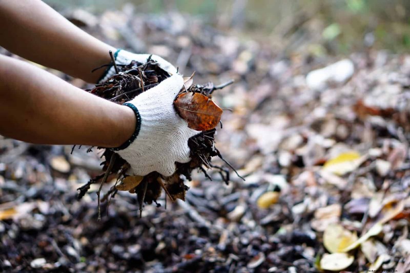 No-Dig Gardening: 15 Ideas for Healthy, Undisturbed Soil