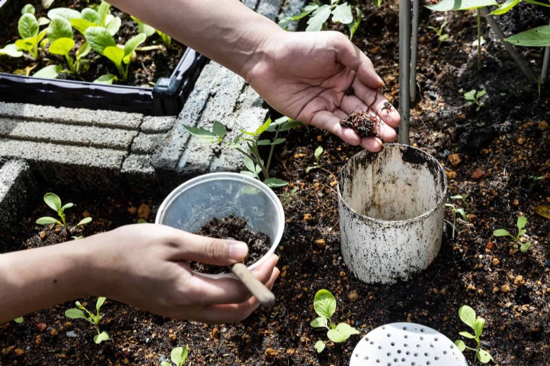 No-Dig Gardening: 15 Ideas for Healthy, Undisturbed Soil
