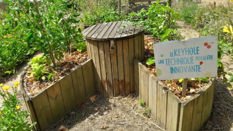 No-Dig Gardening: 15 Ideas for Healthy, Undisturbed Soil