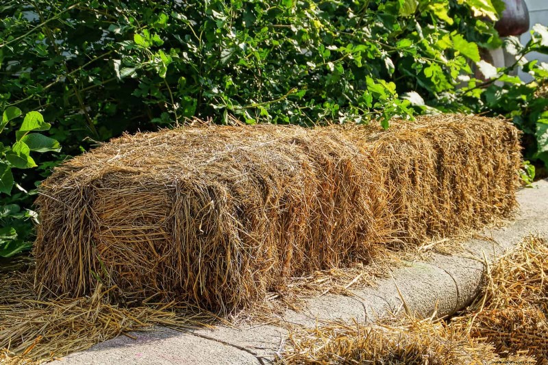 No-Dig Gardening: 15 Ideas for Healthy, Undisturbed Soil