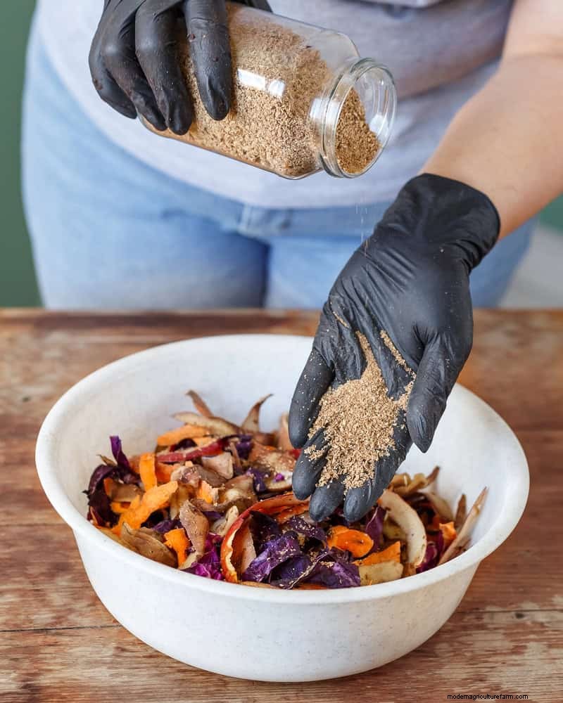 No-Dig Gardening: 15 Ideas for Healthy, Undisturbed Soil
