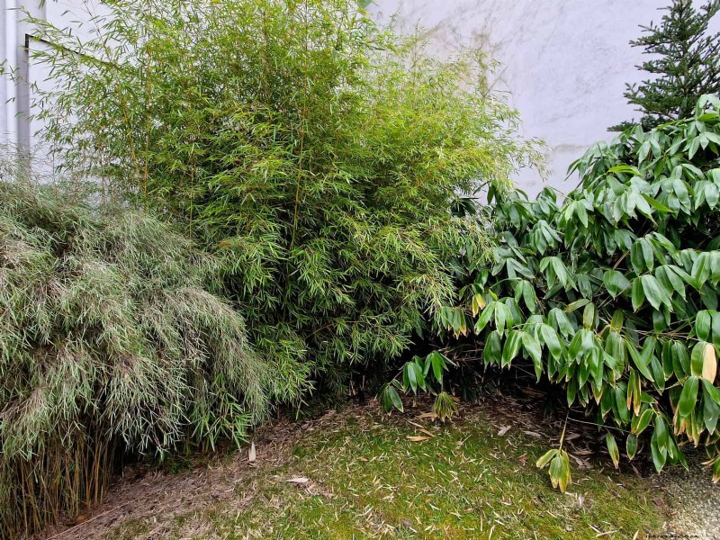 HOA Garden Rules: 15 Features That Often Violate Regulations