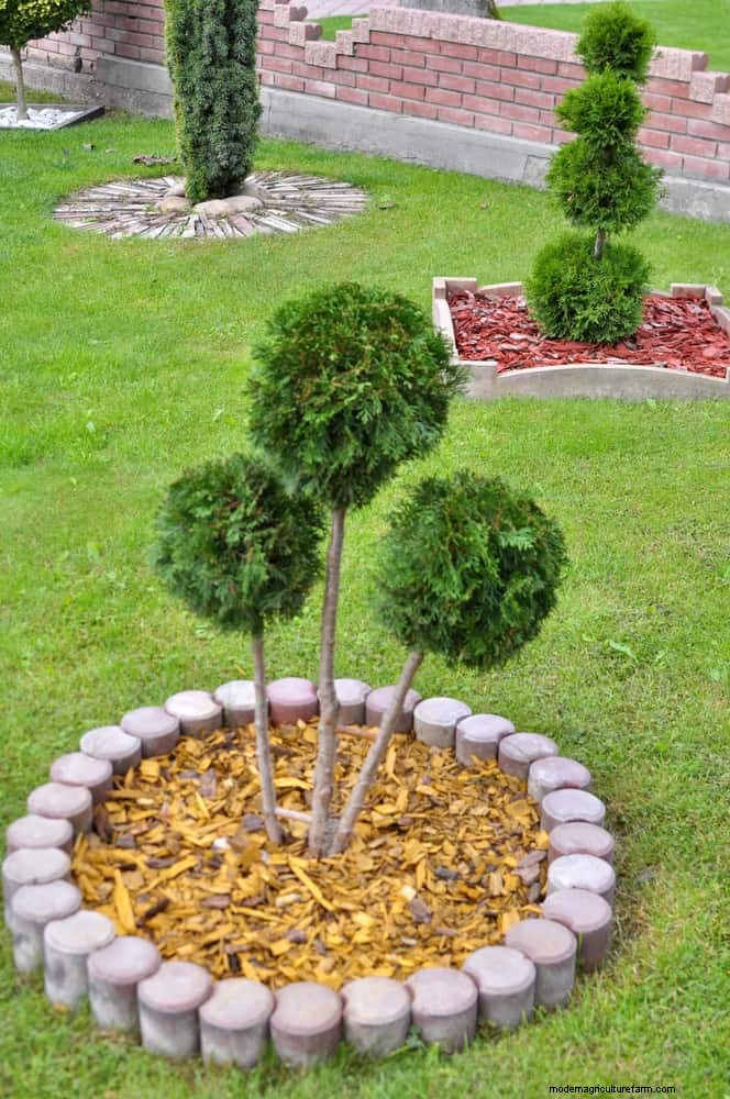 HOA Garden Rules: 15 Features That Often Violate Regulations
