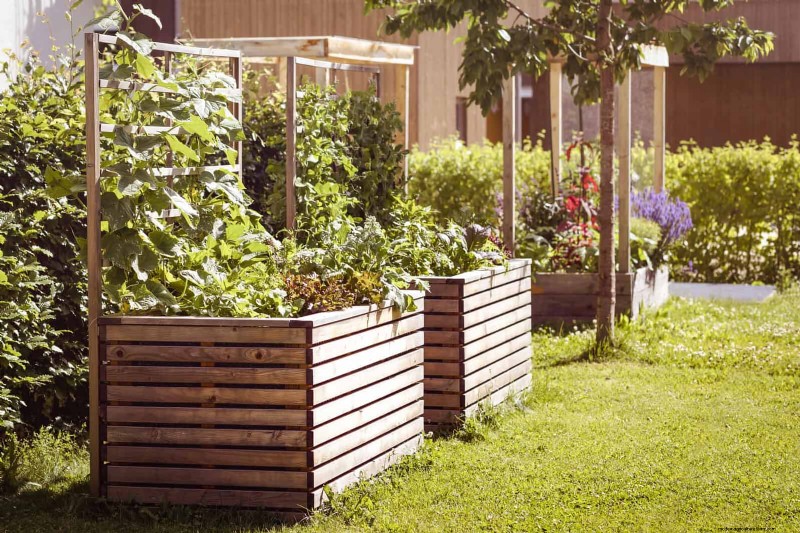 HOA Garden Rules: 15 Features That Often Violate Regulations