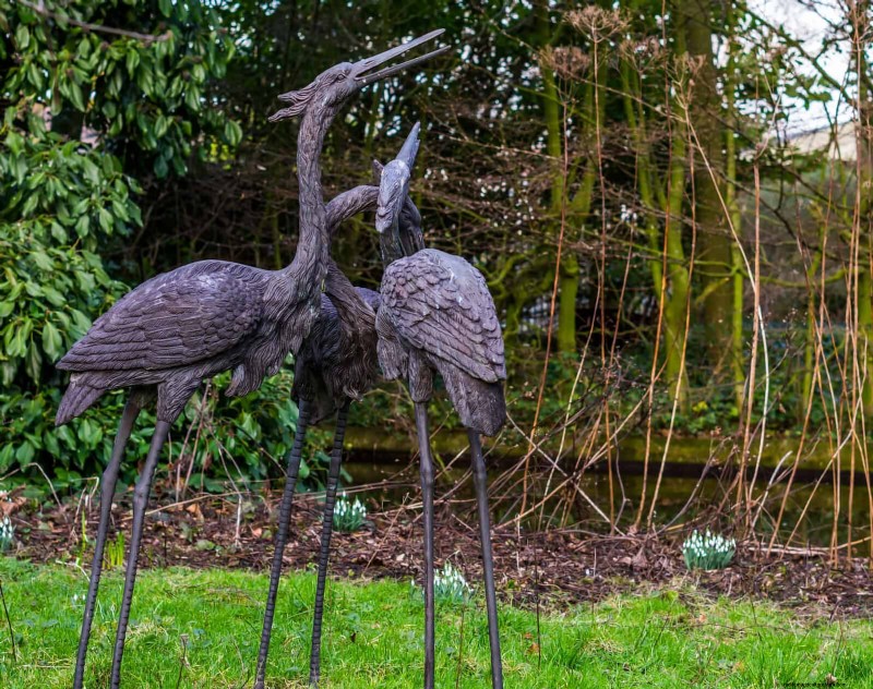 HOA Garden Rules: 15 Features That Often Violate Regulations