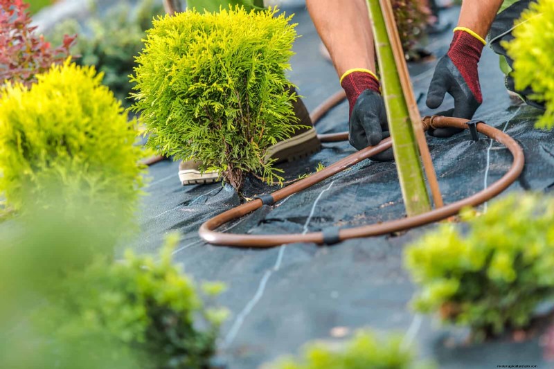 HOA Garden Rules: 15 Features That Often Violate Regulations