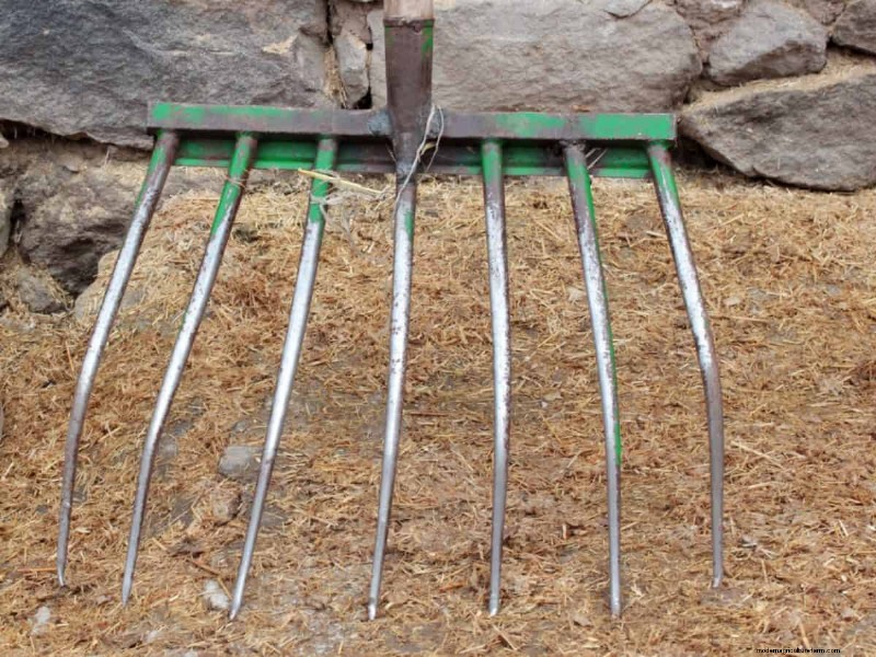 11 Affordable Used Garden Tools: Save Money & Grow a Beautiful Garden
