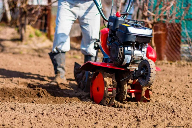 11 Affordable Used Garden Tools: Save Money & Grow a Beautiful Garden