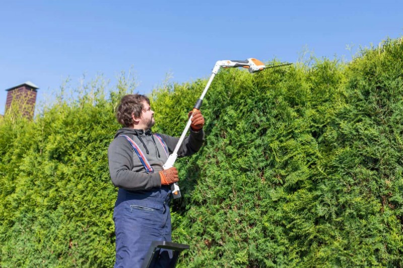11 Affordable Used Garden Tools: Save Money & Grow a Beautiful Garden