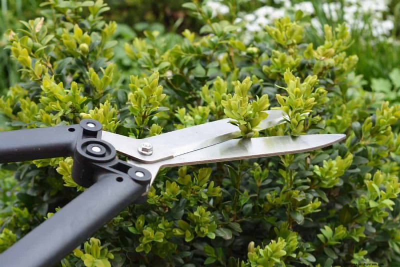 11 Affordable Used Garden Tools: Save Money & Grow a Beautiful Garden