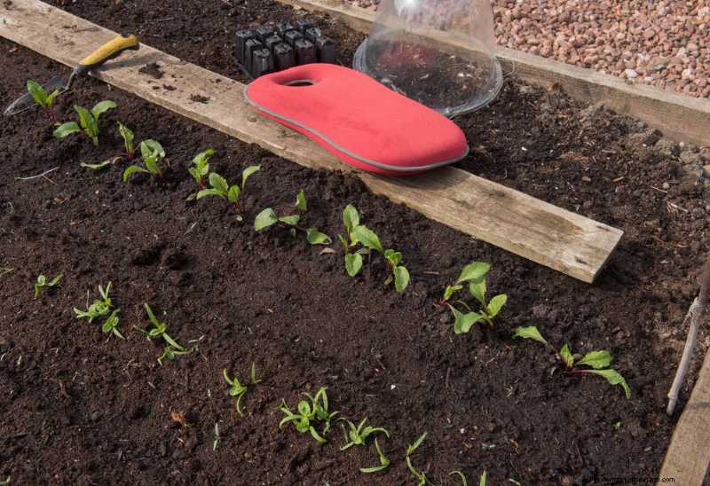 11 Affordable Used Garden Tools: Save Money & Grow a Beautiful Garden