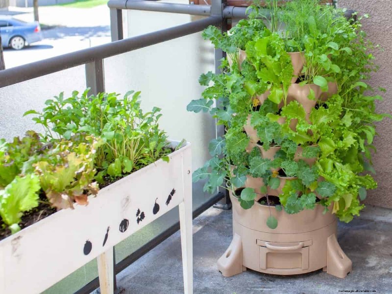 11 Affordable Used Garden Tools: Save Money & Grow a Beautiful Garden