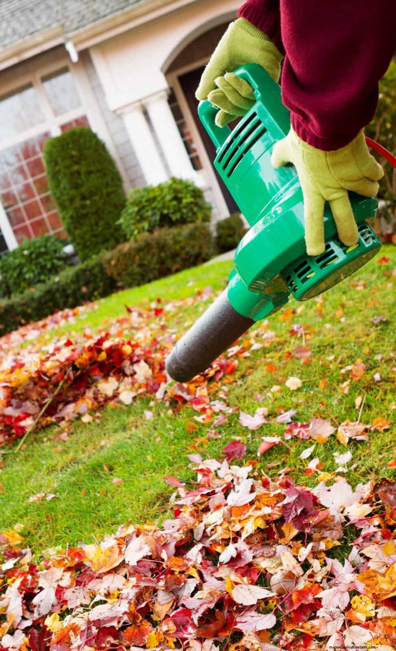 11 Affordable Used Garden Tools: Save Money & Grow a Beautiful Garden