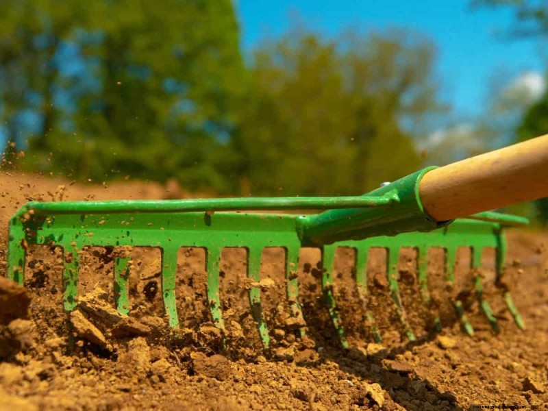 11 Affordable Used Garden Tools: Save Money & Grow a Beautiful Garden