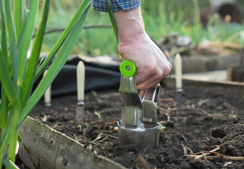 11 Affordable Used Garden Tools: Save Money & Grow a Beautiful Garden
