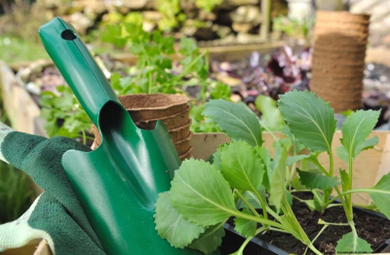 11 Affordable Used Garden Tools: Save Money & Grow a Beautiful Garden