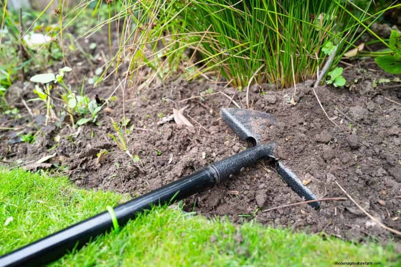 11 Affordable Used Garden Tools: Save Money & Grow a Beautiful Garden