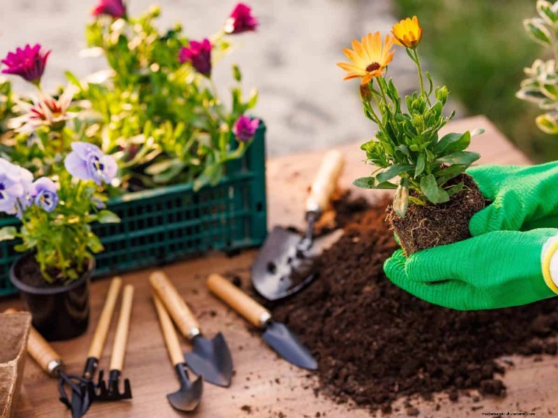 11 Affordable Used Garden Tools: Save Money & Grow a Beautiful Garden