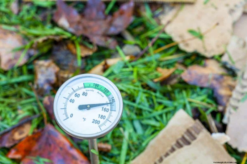 Composting in Heat Waves: Expert Tips for a Thriving Pile